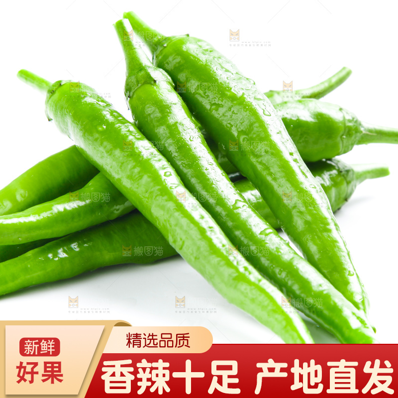 白底上摆放着新鲜杭椒