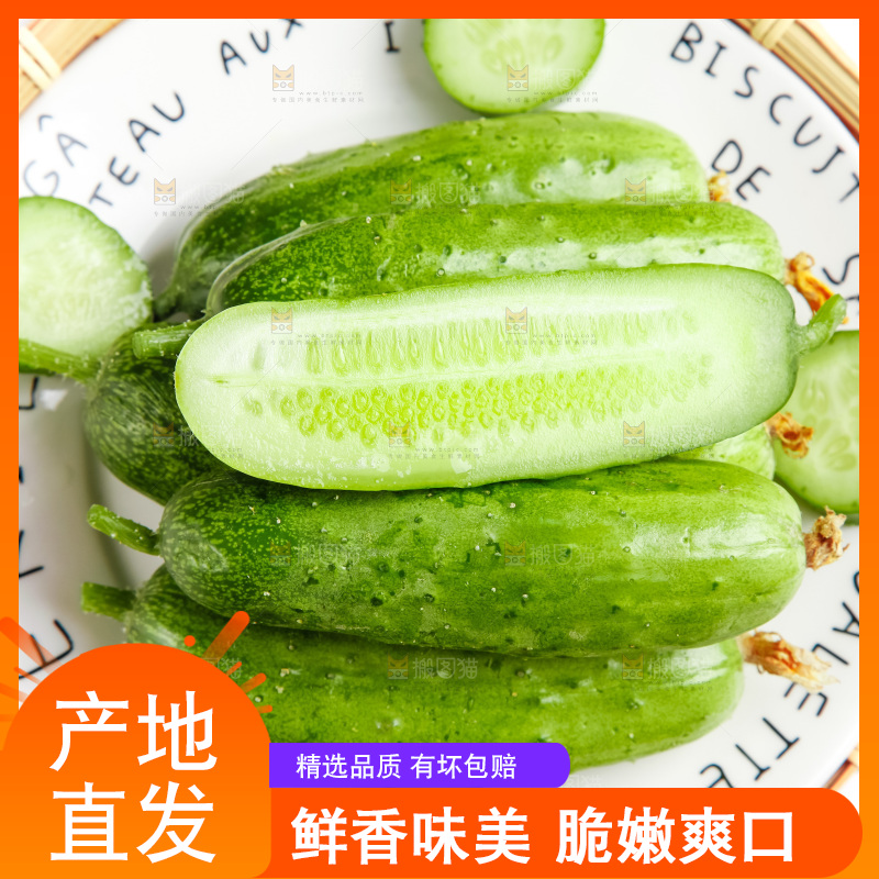 盘子里的东北旱黄瓜