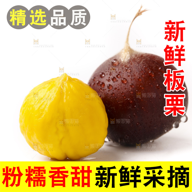 浅底上的迁西板栗