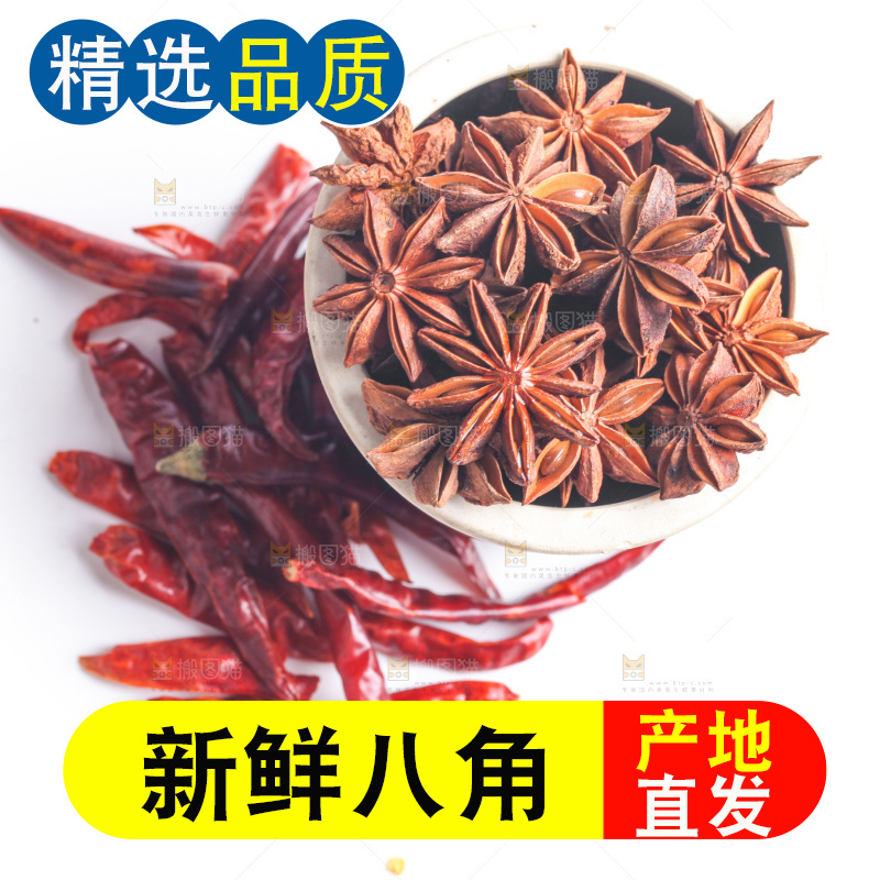 广西八角放在白底上