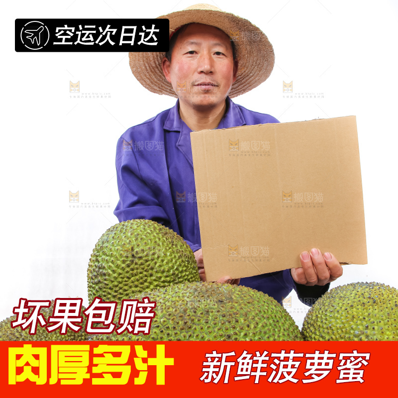 农民手里拿着菠萝蜜