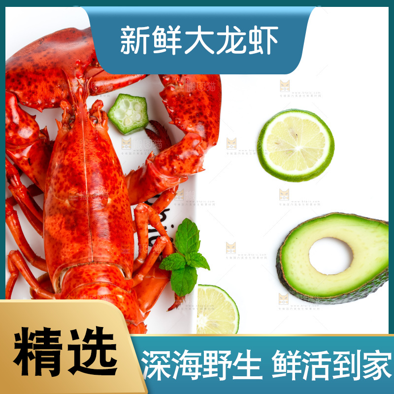 白底上放着一盘大龙虾