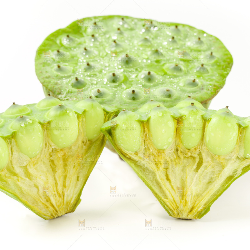 白底上的嫩莲蓬