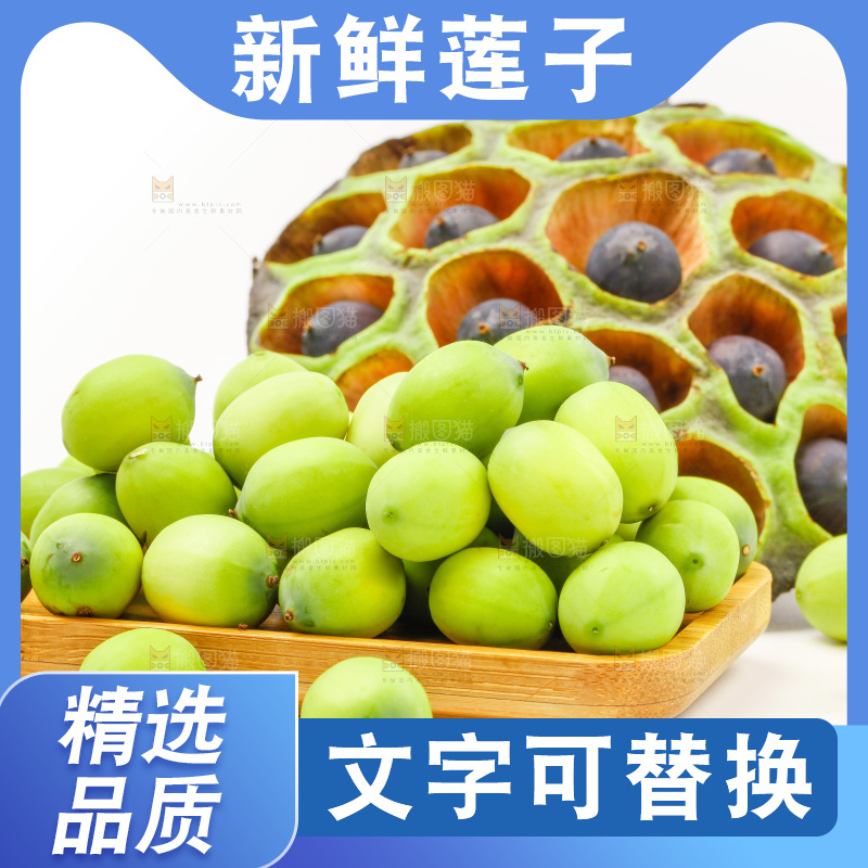 浅底上的新鲜莲子