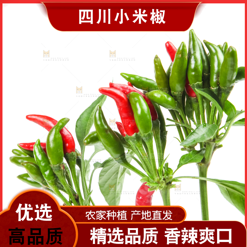 白底上的小米椒