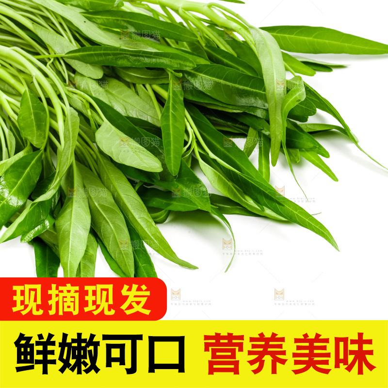 白底上放着新鲜空心菜