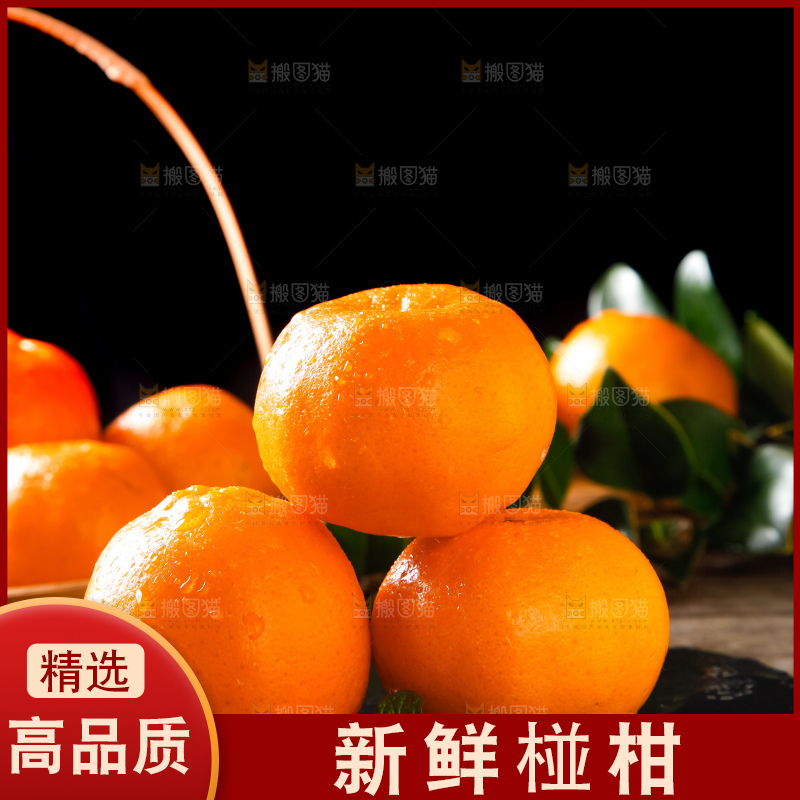 石板上的大理宾川椪柑