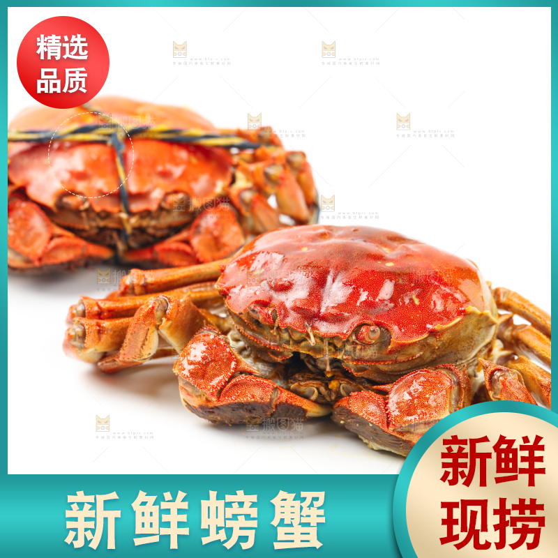 浅底上摆放着熟螃蟹