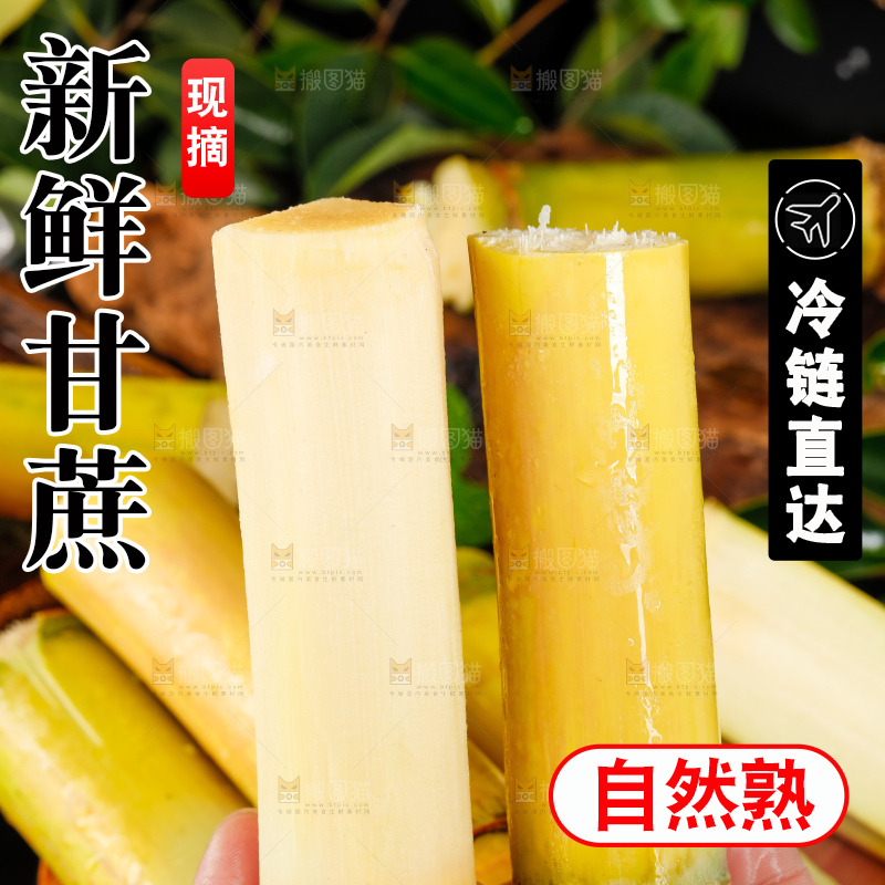手里拿着新鲜甘蔗