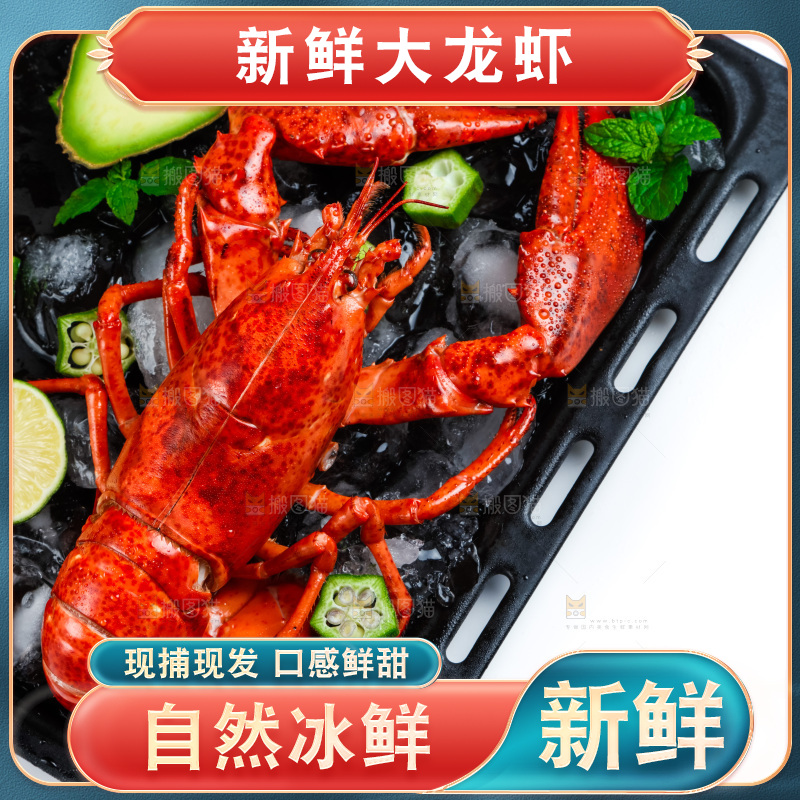 盘子里装着澳洲大龙虾