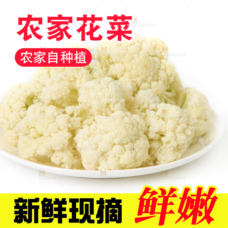 白底上的花菜