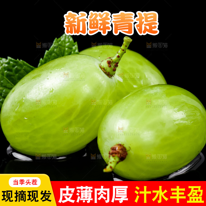黑底上放着青提子