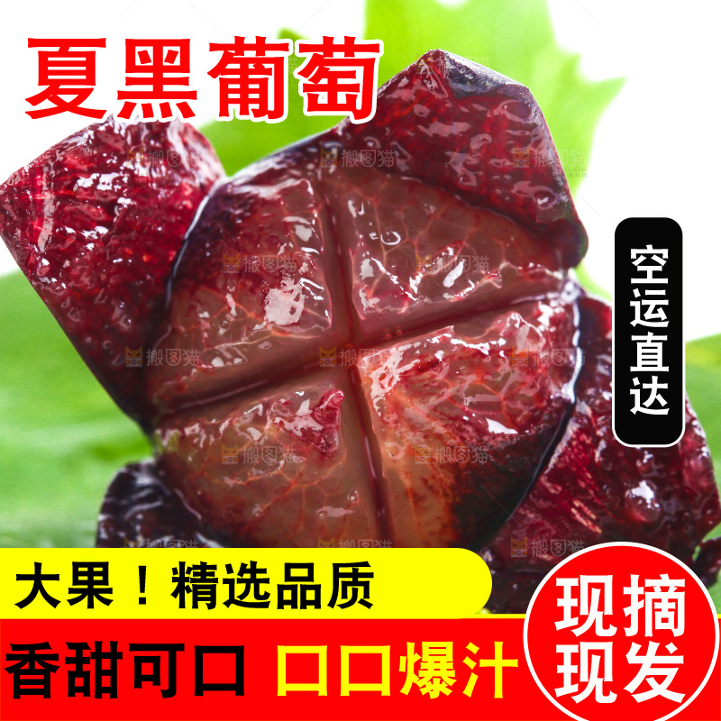 云南夏黑葡萄放在白底上