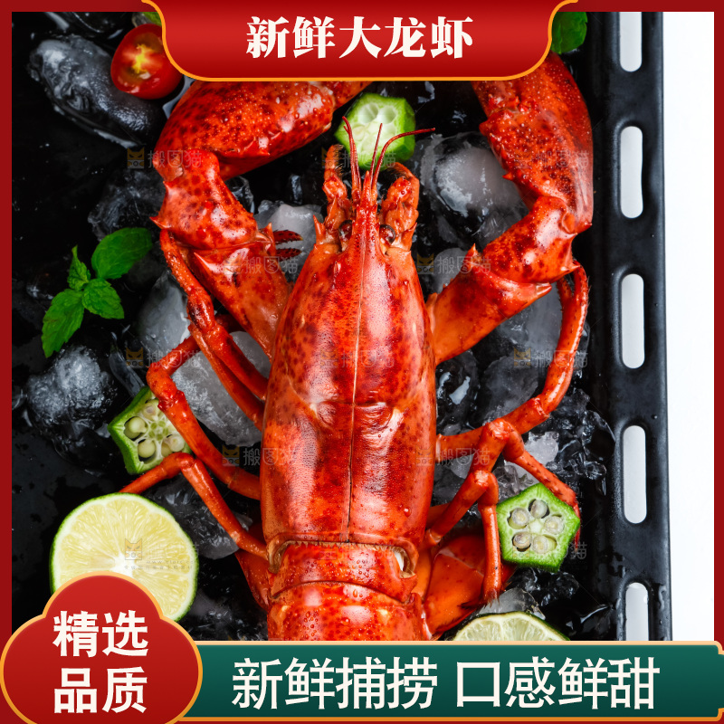 盘子里装着澳洲大龙虾