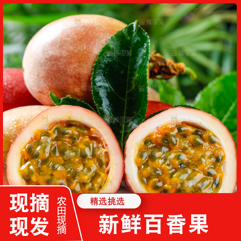 广西百香果放在格子布上