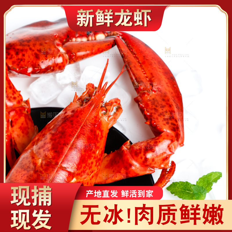 浅底上放着波士顿大龙虾
