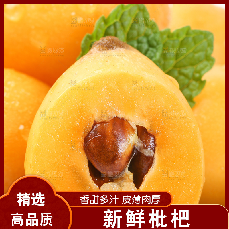 白底上的枇杷