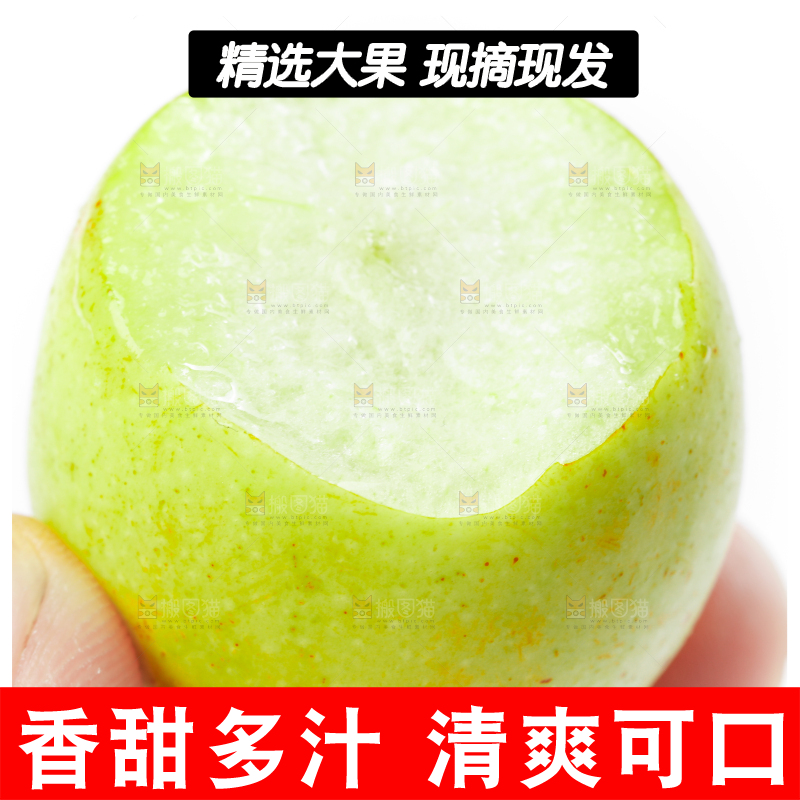 白底上的沾化冬枣