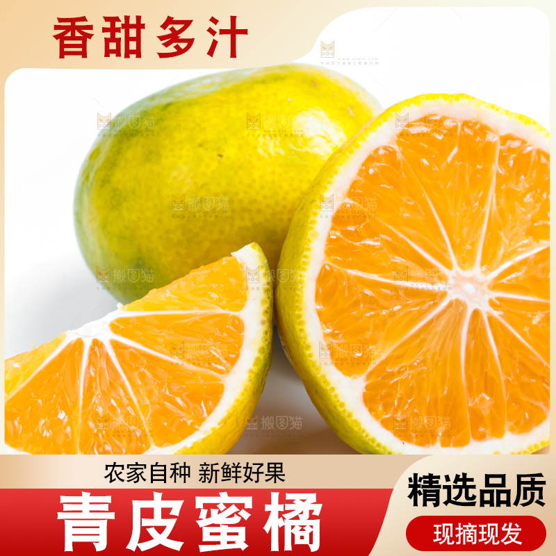 新鲜的青皮蜜橘放在白底上