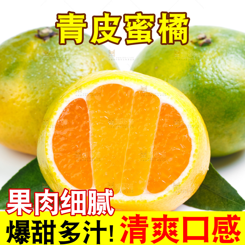 新鲜的青皮蜜橘放在白底上