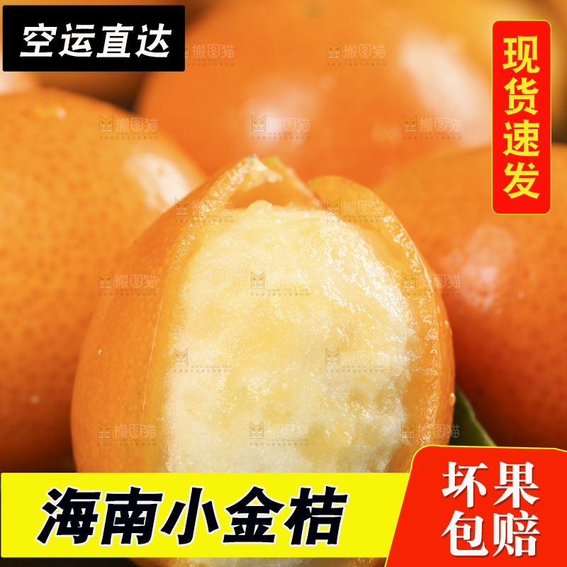 黑石板上的广西金钱橘