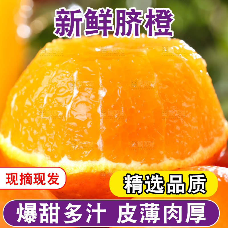 深底上放着秭归脐橙