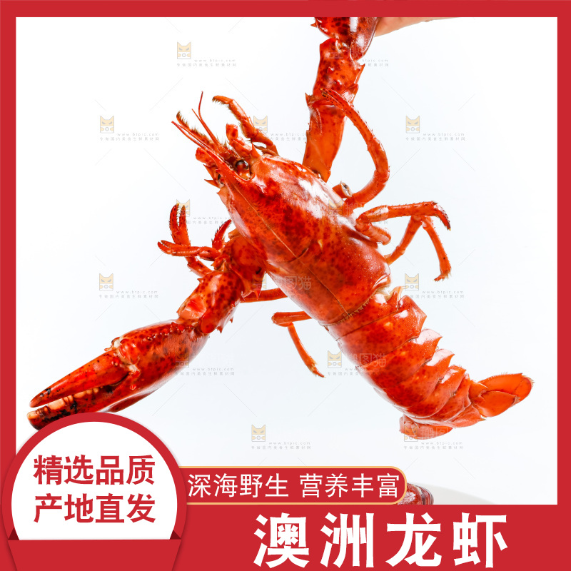 手拿波士顿大龙虾