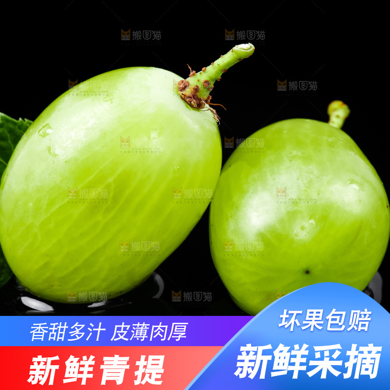 黑底上放着青提子