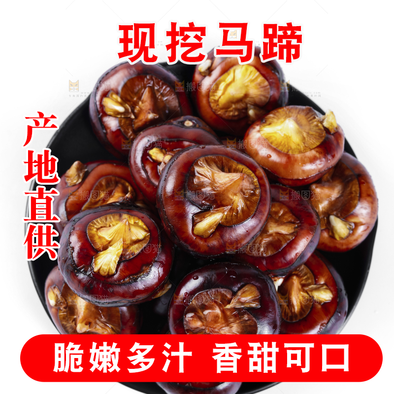 白底上的菩荠