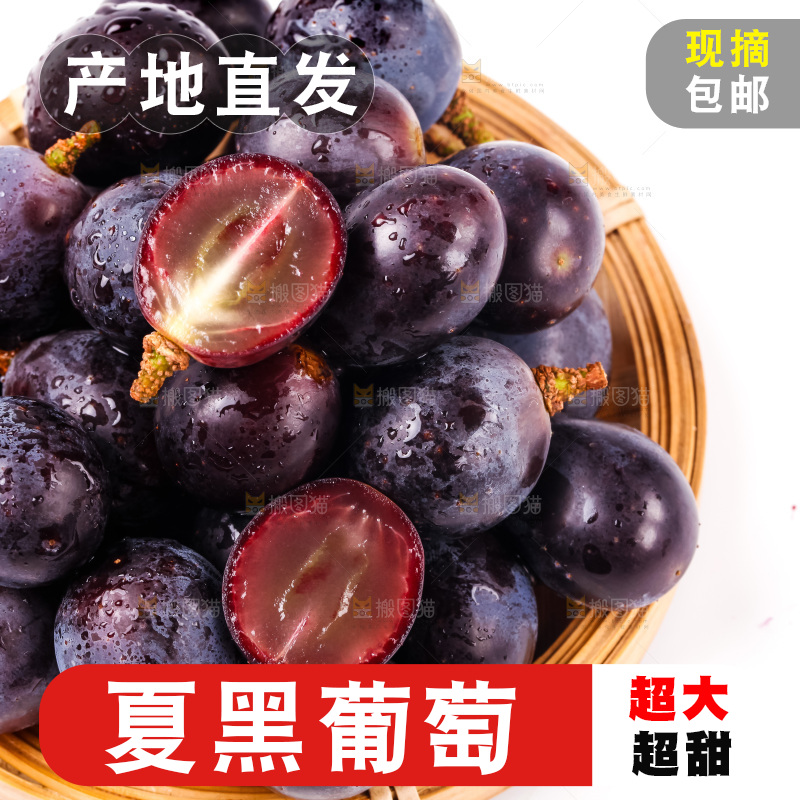 白底上放着一盘夏黑葡萄