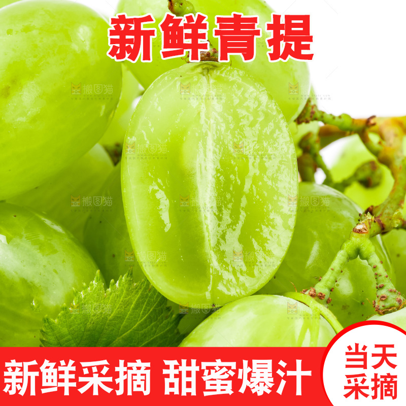 白底上放着一筐维多利亚青提