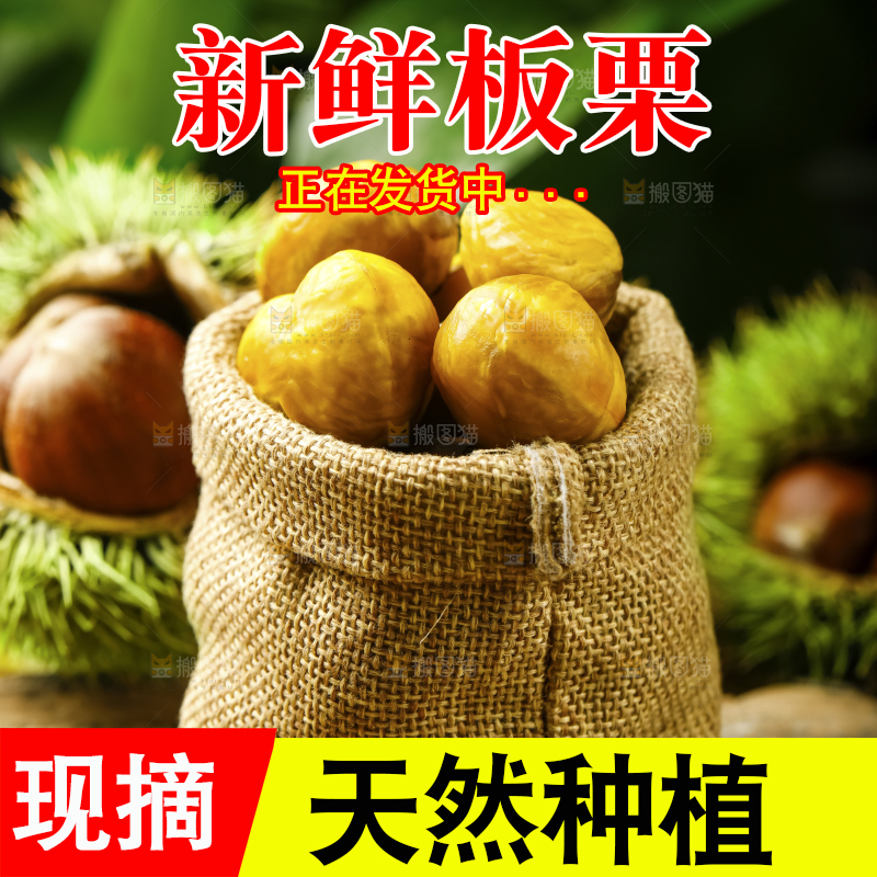 袋子里装着板栗
