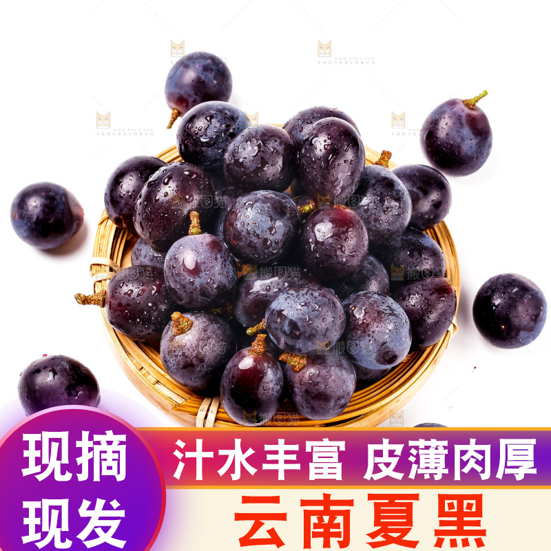 白底上放着一盘夏黑葡萄
