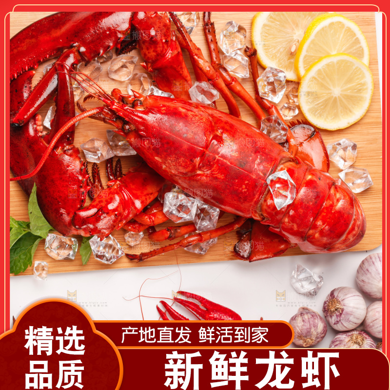 白底上的大龙虾
