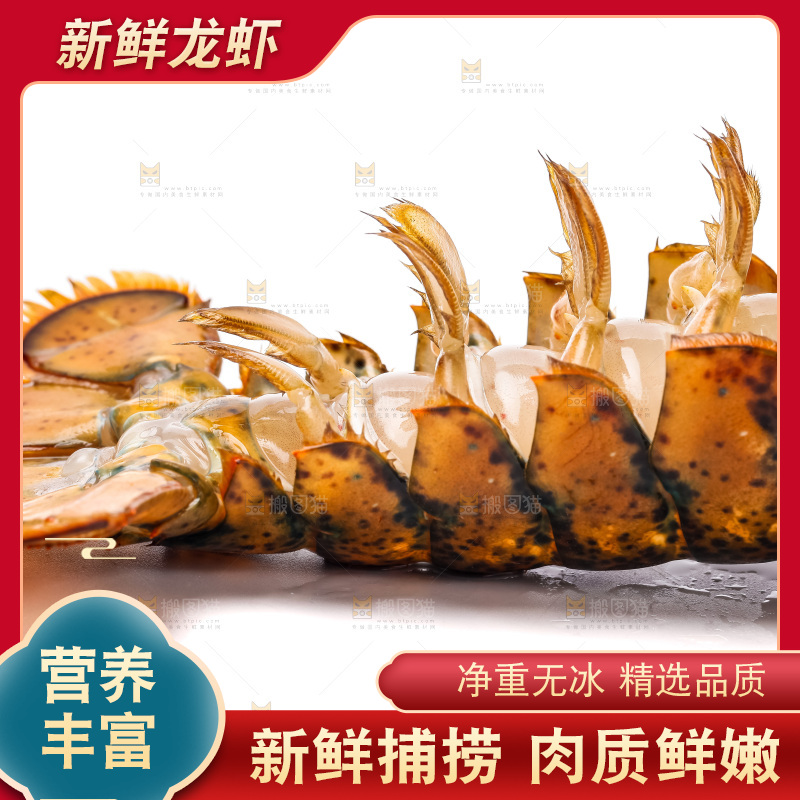 白底上的龙虾
