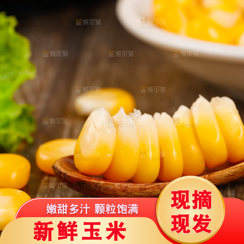 深底上的东北玉米