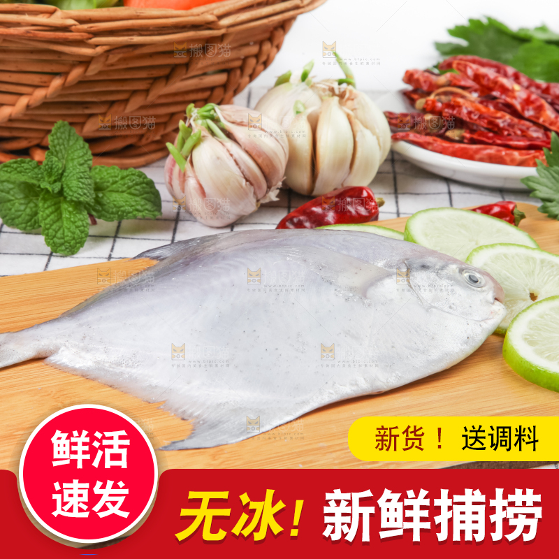 木板上放着银鲳鱼