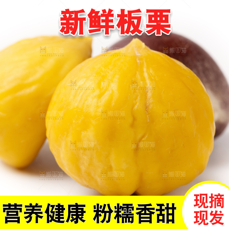 浅底上的迁西板栗