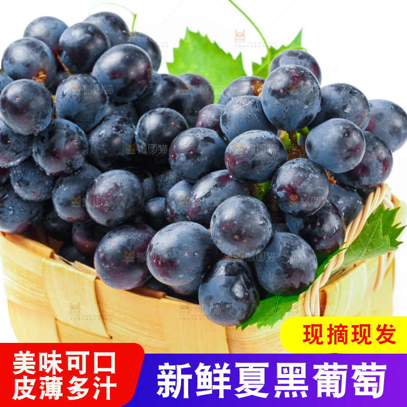 一筐新鲜夏黑放在白底上