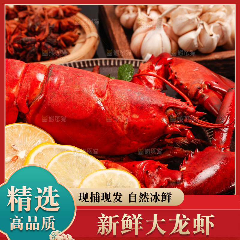 黑底上放着波士顿大龙虾