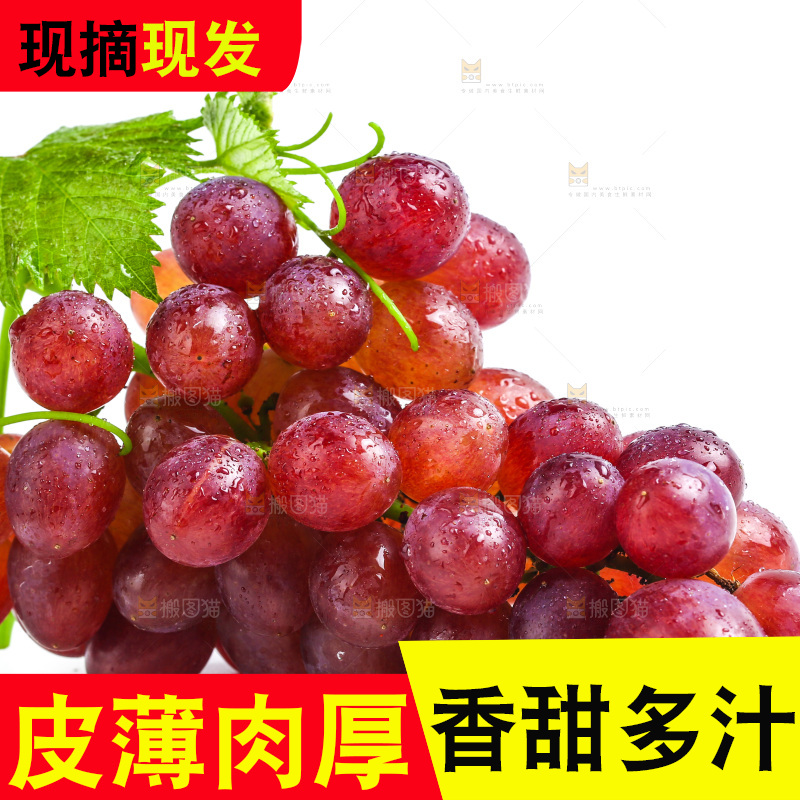 白底上的红提