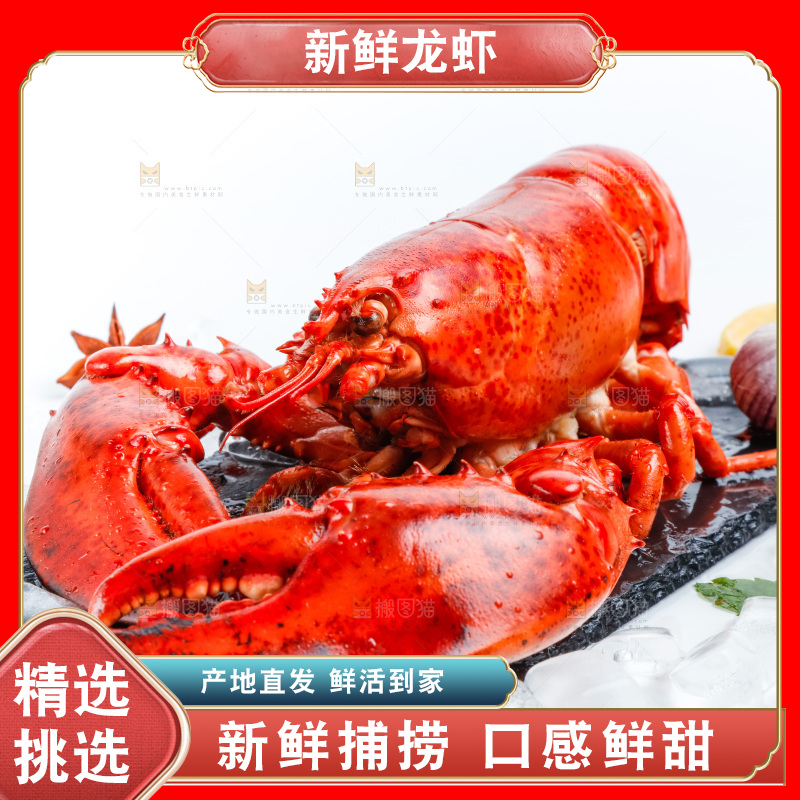 浅底上放着波士顿大龙虾