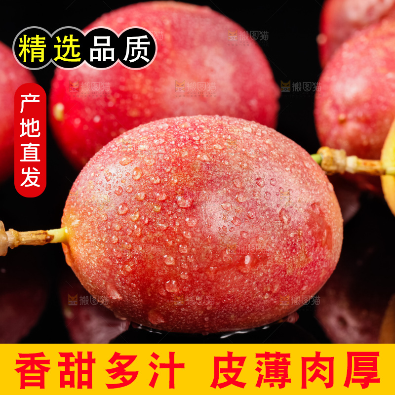 紫皮百香果放在黑底上