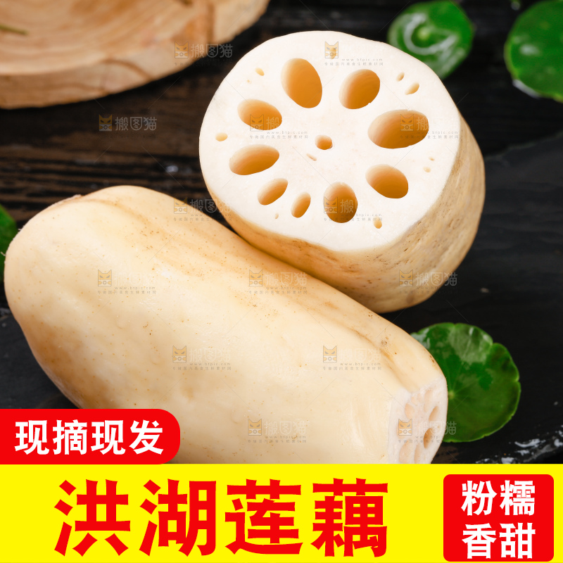 黑底上的莲藕