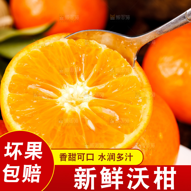 手里拿着新鲜沃柑