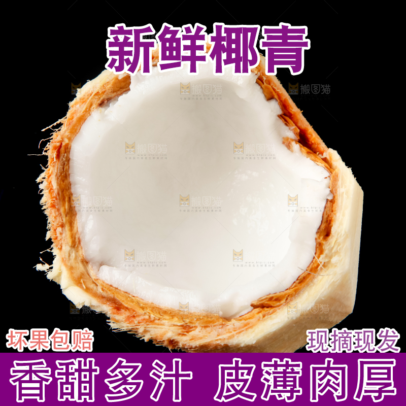 黑底上的青椰子
