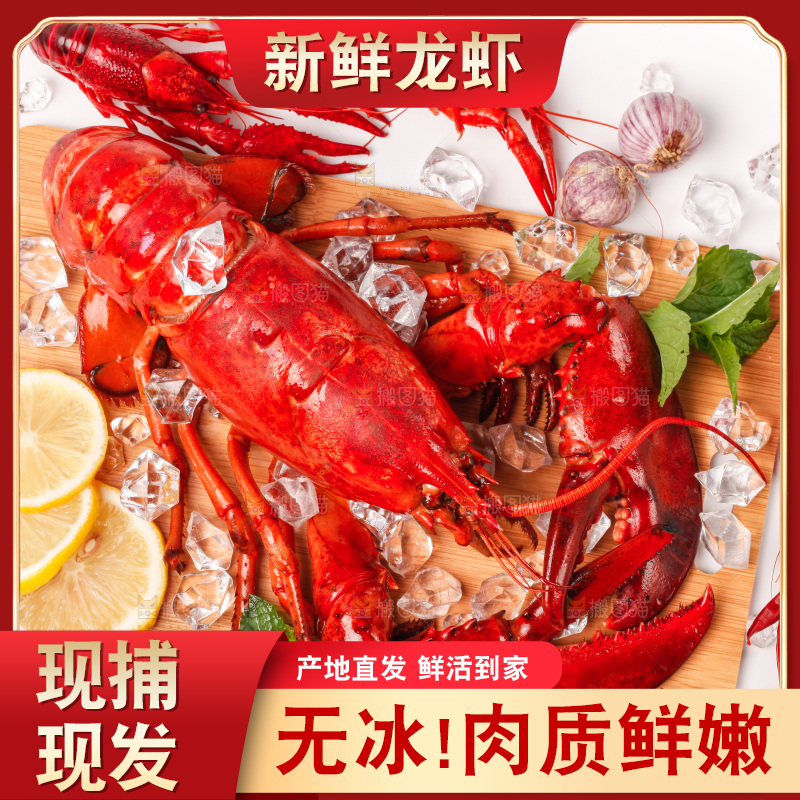 白底上的大龙虾