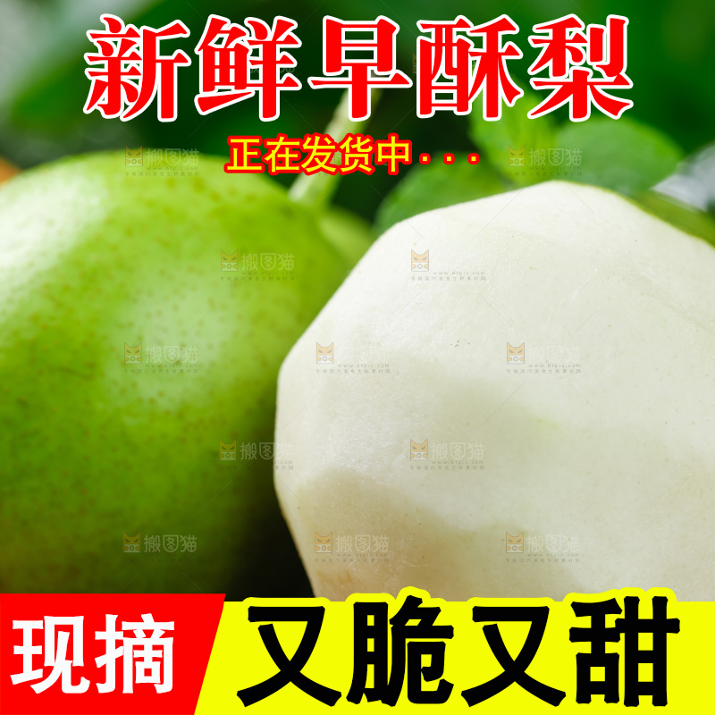 陕西早酥梨放在木底上
