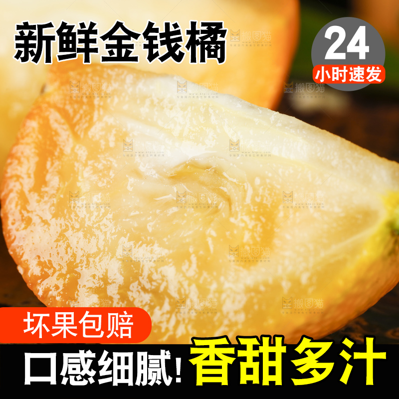 黑底上的小金桔