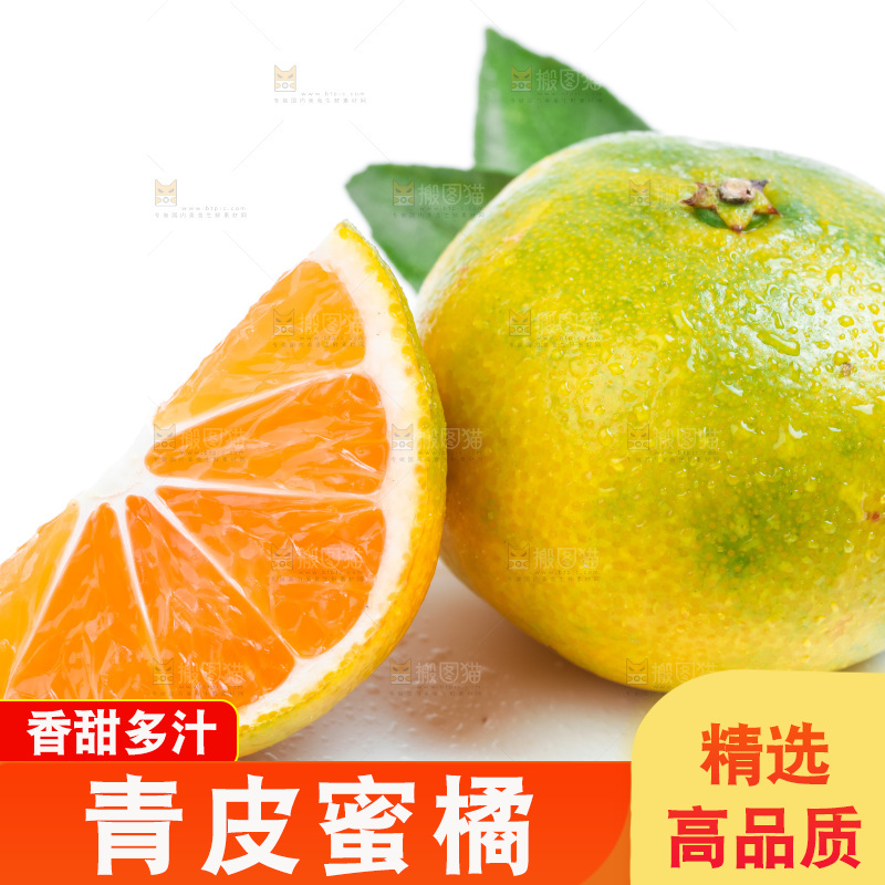 新鲜的青皮蜜橘放在白底上